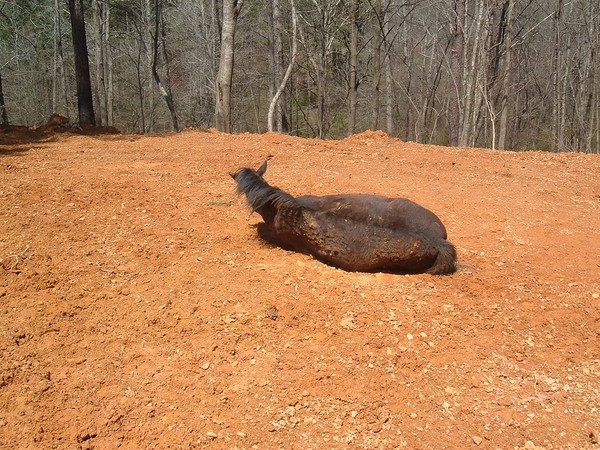 day in the dirt
