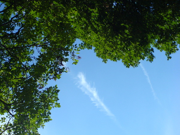London in summer