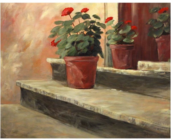 Potted Geraniums