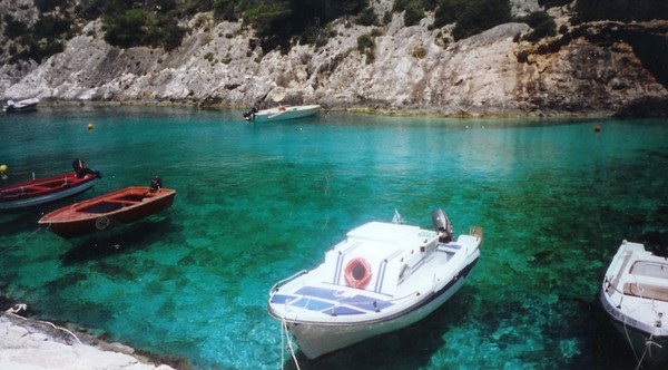 bobbing about on the water