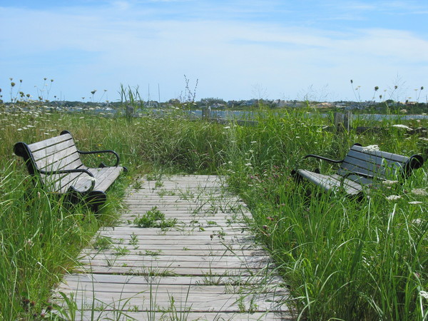 Nantucket View August
