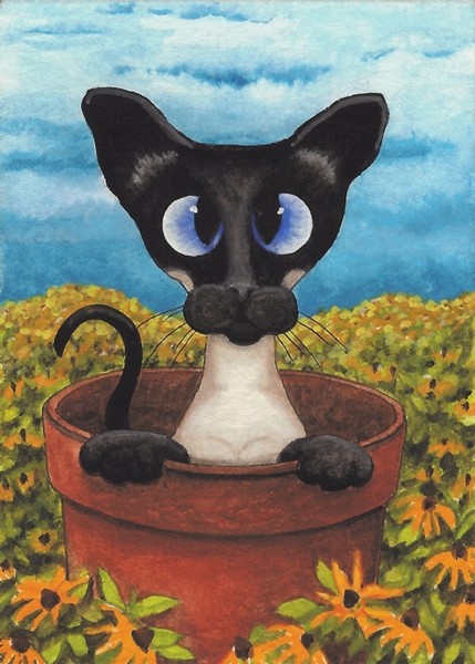 Siamese Flower Pot