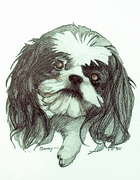 Bandit