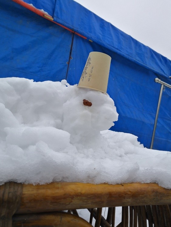 snow rabbit