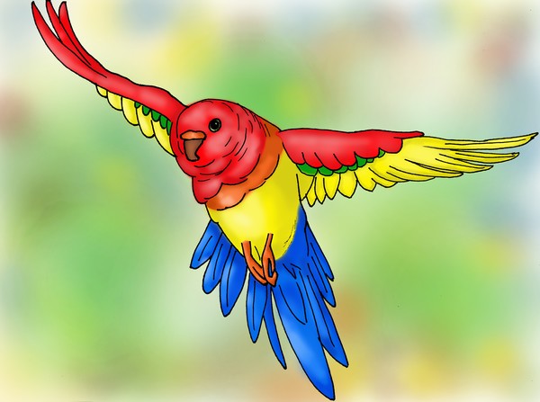 Splashy Avian