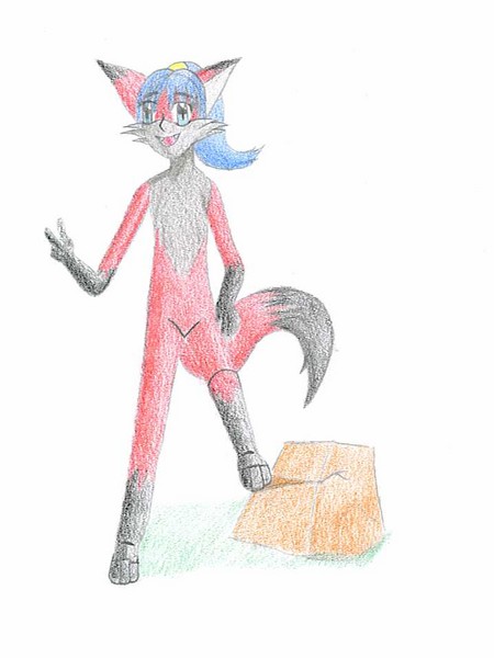 red fox