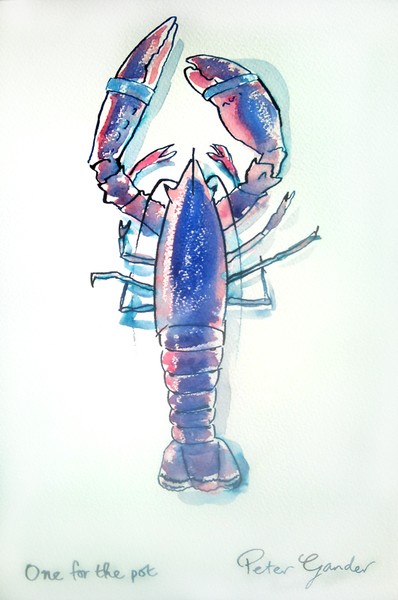 One for the pot (lobster)