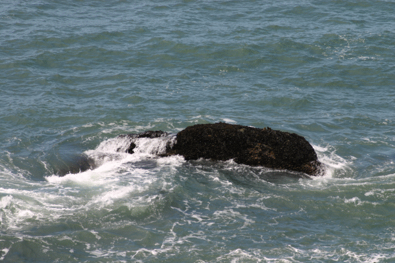 Wave Analysis