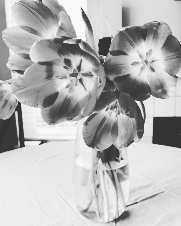 Still Life in Black and White