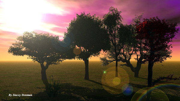 Past The Trees