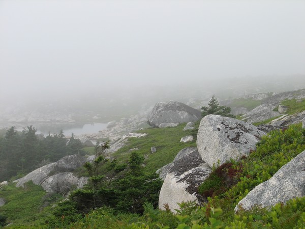 Misty Sea-cove Nova Scotia