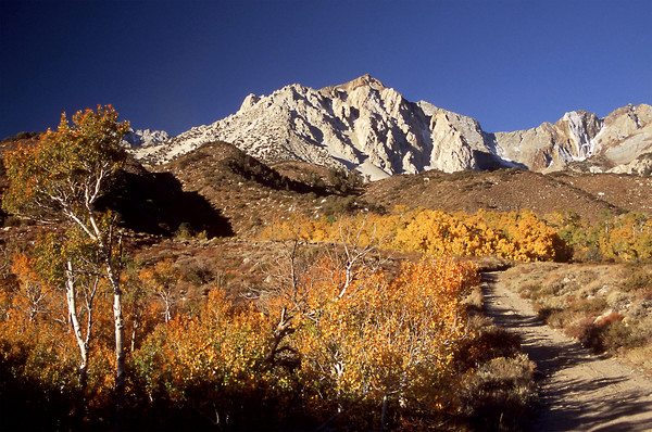 McGee Creek Road in Autumn