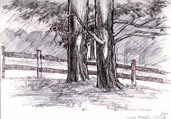 Tree1B