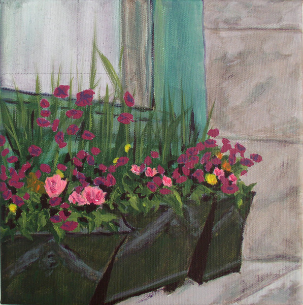 flower boxes
