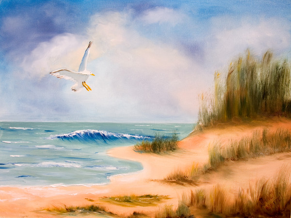 Soaring