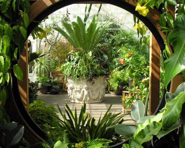 Circle of Flowers