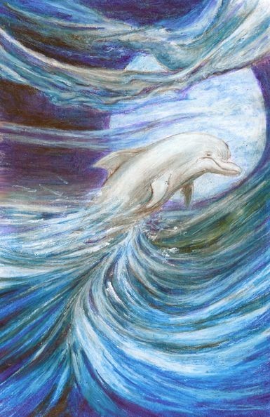 Dolpin storm