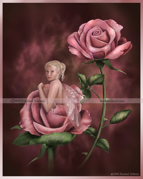 Charmed Rose