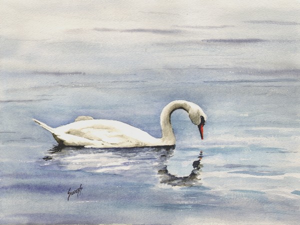 Nymphenburg Swan