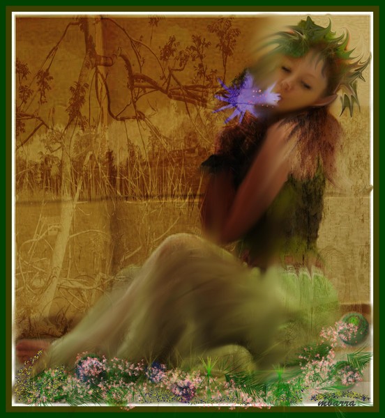 The Wood Nymph
