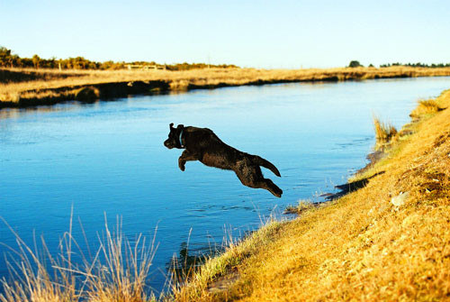 Spirit