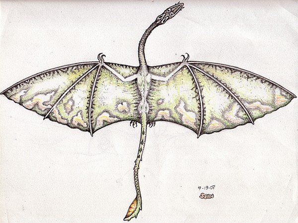 Pterosaur!