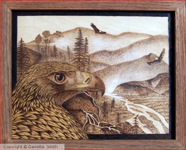 Eagle Territory