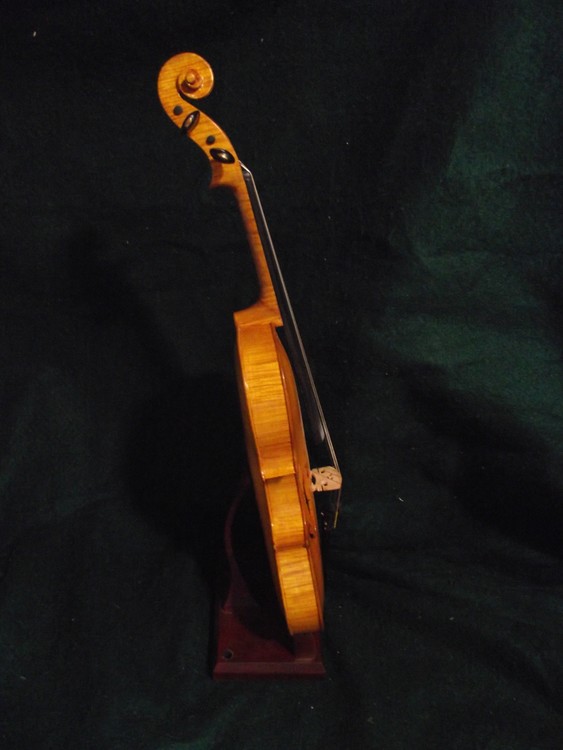 Violin Side View Violin
