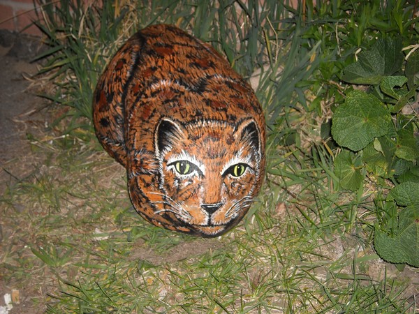 Rock Leopard
