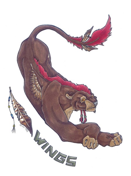 Wings colored