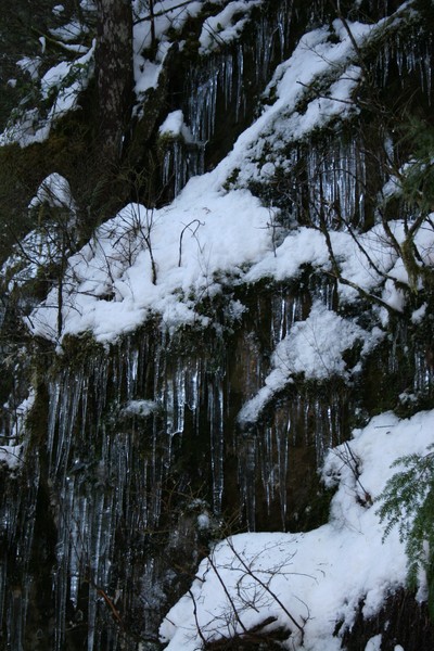 Icycles....
