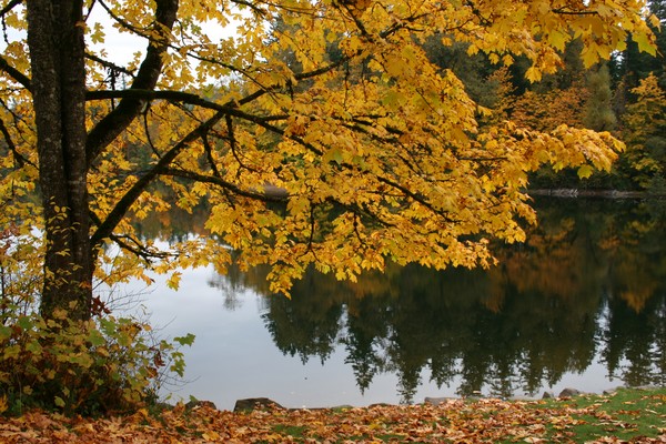 Our Beloved Deep Lake