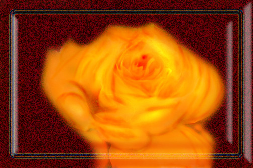 Wood Grained Orange Rose