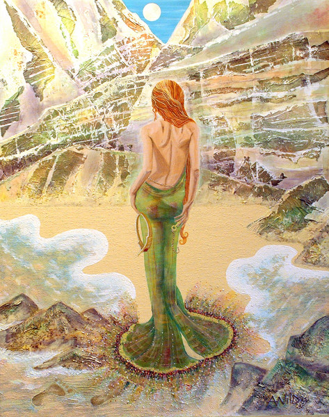 Venus. Reflection