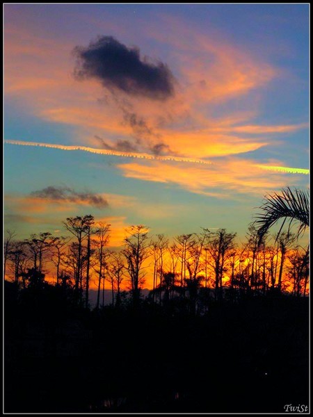 Florida Sky