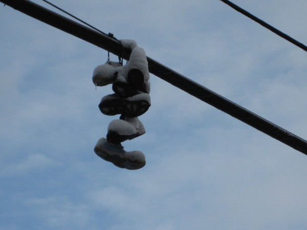 Hanging Tough NYC