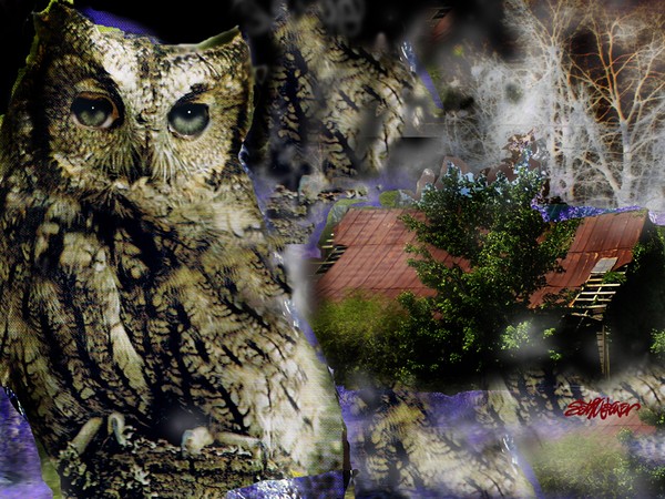 Creature of the Night