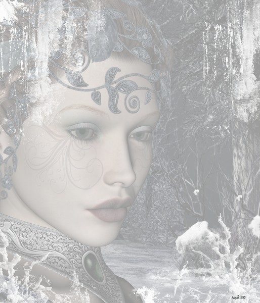 The winter elf