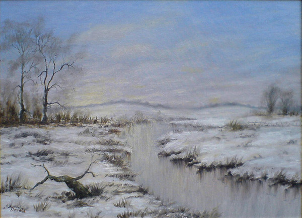 Reflective Winter