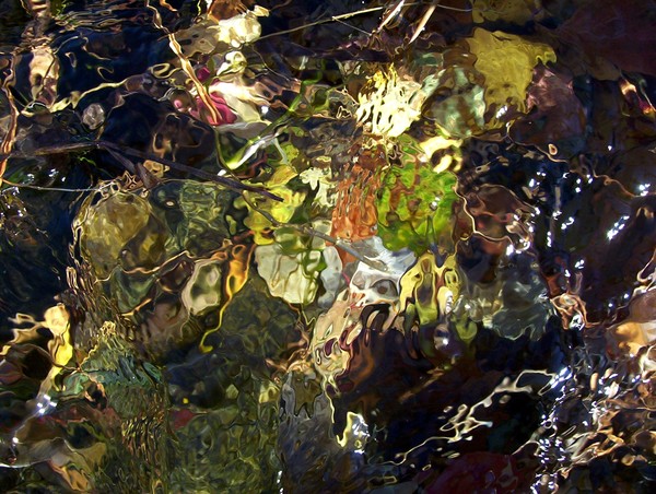 Out My Back Door...Beneath The Water