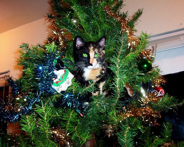 New Christmas Ornament
