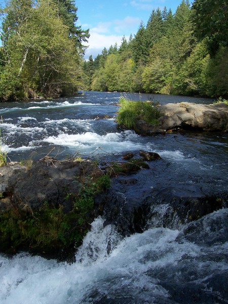 Husum Rapids