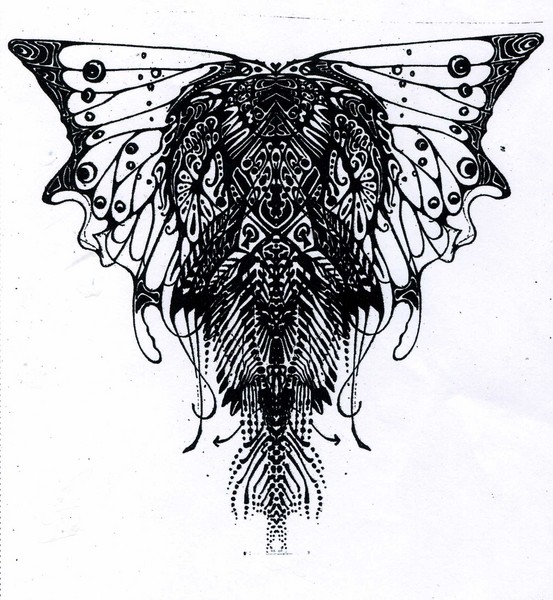 geiger fly