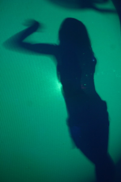Silhouette Series-Summertime