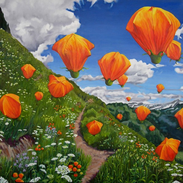 Balloon Flowers