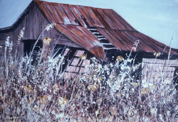 Barn in Sunlight