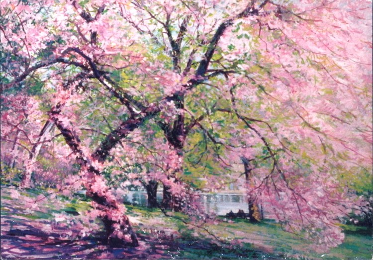 Spring Blossoms