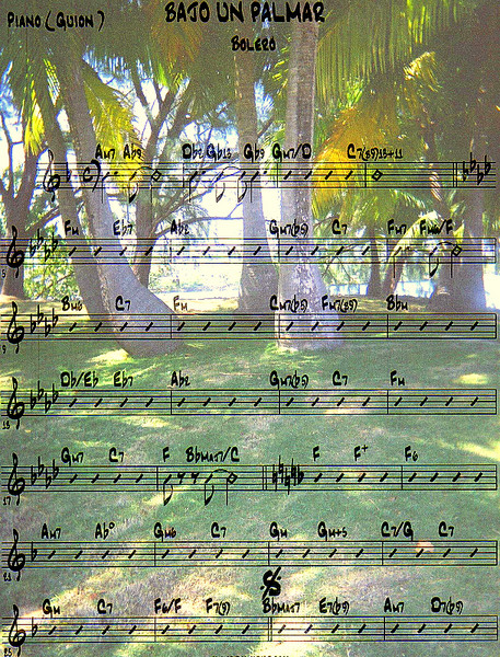 Collage Bajo Un Palmar I