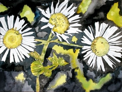 heath aster wildflower flower painting print