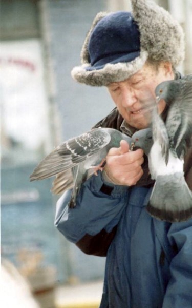 Feeding the Pigeons